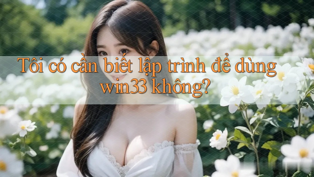 Tôi có cần biết lập trình để dùng win33 không?